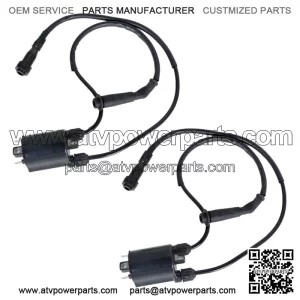 2sets of Ignition Coil & Spark Plug Cap For HONDA Shadow VLX VT600C 1988-2007