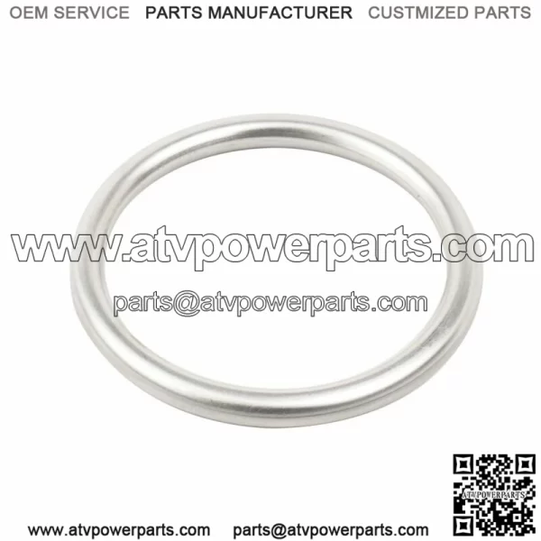 Exhaust Sealing Gasket for Polaris 5253989
