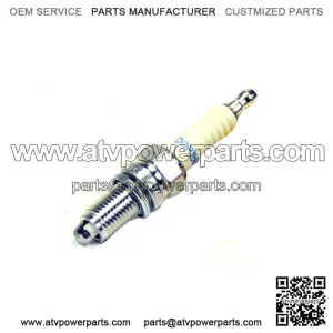 NGK 4339 DCPR8E Standard Plug DCP-R8E 707000246 715900637