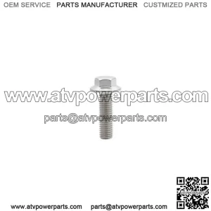 OEM Bolt Flg M12x1.75x100 Patch