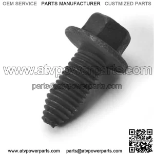 OEM Club Car M8 1.25x20 Taptite