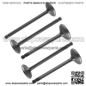 Intake & Exhaust Valve For Yamaha YFM660R Raptor 660 2001-2005  (For: 2006 Yamaha Rhino 660)
