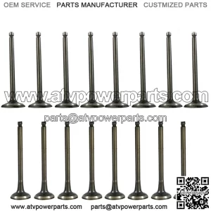 Exhaust & Intake Valves for Hyundai Accent Kia Rio 1.5L 1.6L DOHC 16v 1996-2011