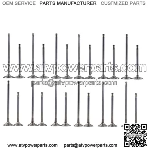 Engine Intake Exhaust Valves Fit For VW R32 Touareg CC Passat AUDI Q7 3.2 3.6 V6