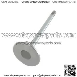 INTAKE VALVE 0.015 | 6081 JOHN DEERE | TR93312