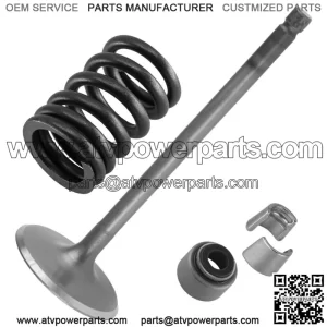 Intake Valve Kit for Yamaha Raptor 700 YFM700 2006 2007 2008 2009 2010 2011-2022 (For: Yamaha Raptor 700)