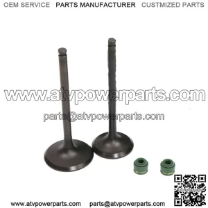 1988-2000 Honda TRx300 Fourtrax 300 Intake Exhaust Valves Seals (For: Honda)
