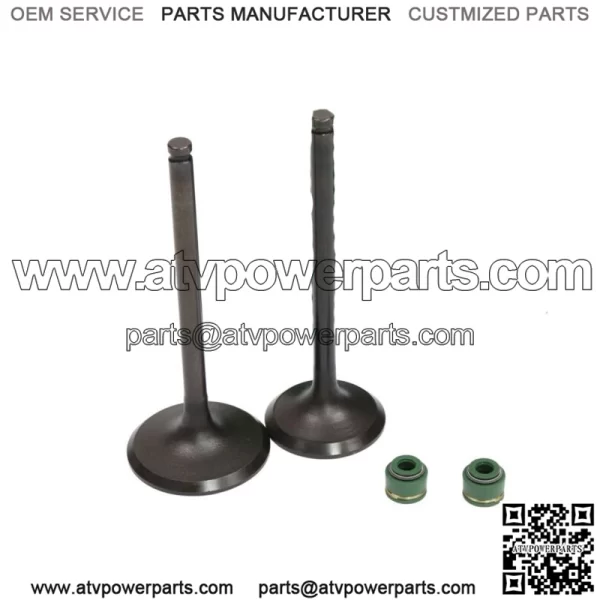 1988-2000 Honda TRx300 Fourtrax 300 Intake Exhaust Valves Seals (For: Honda)