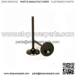 Exhaust Valve for 2015-2020 Honda TRX420FA5 FourTrax Rancher 4x4 wb (For: Honda)