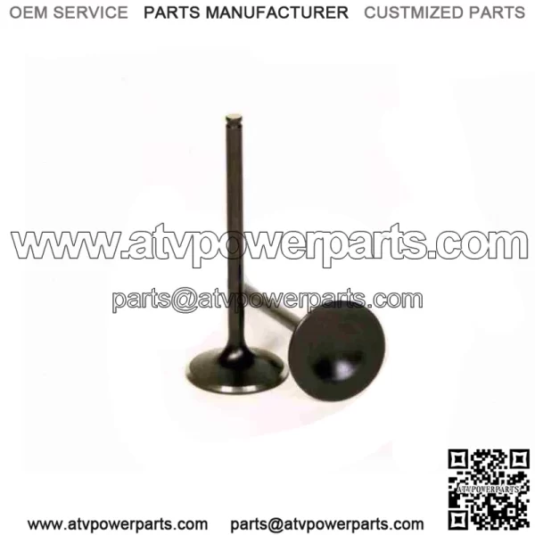 Exhaust Valve for 2015-2020 Honda TRX420FA5 FourTrax Rancher 4x4 wb (For: Honda)