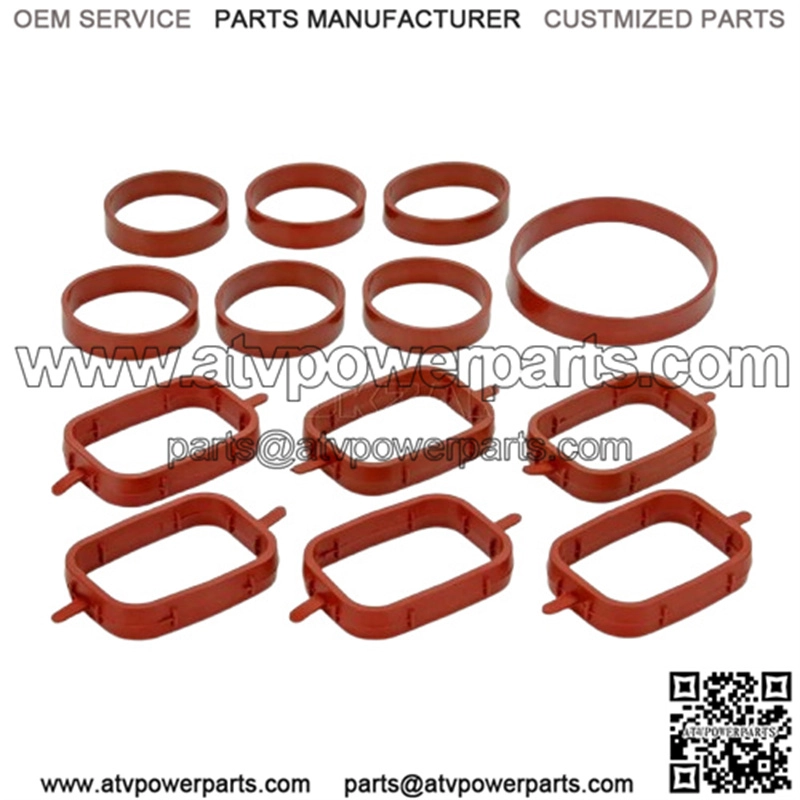 BMW diesel engine swirl flap repair leather ring set