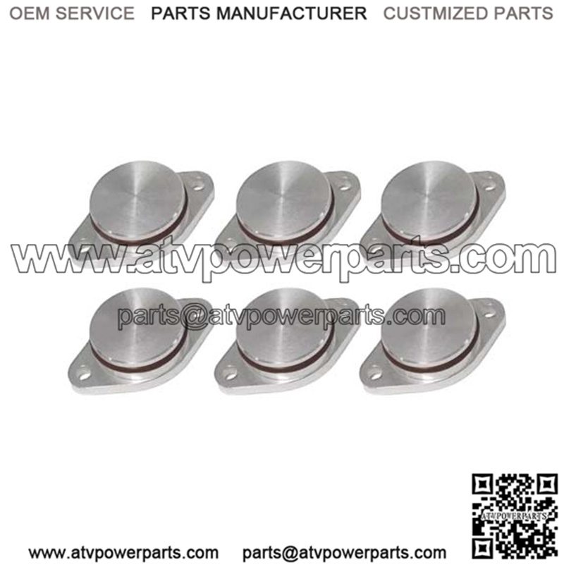 BMW Diesel Engine Eddy Swirl Flap Repair Kit 33MM 6PCS Without Leather Ring #Silver