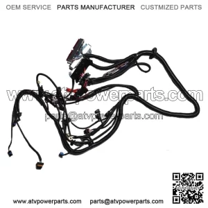 Wiring Harness T56 DBC 1997-2006 LS1 Engine Transmission 4.8 5.3 6.0