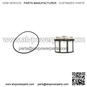 Fuel Filter Kit FD4596 For 1994-2012 Ford F & E 7.3L Power Stroke Diesel