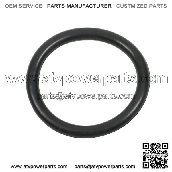 TP3018 TP3012 19305685 12664429 Diesel Fuel Filter For Chevy Silverado 6.6L - Image 3