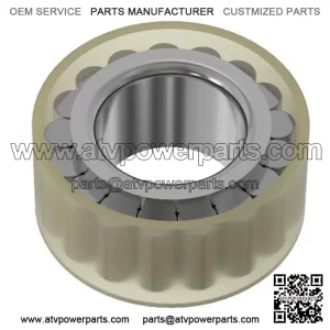 Single Roller Bearing