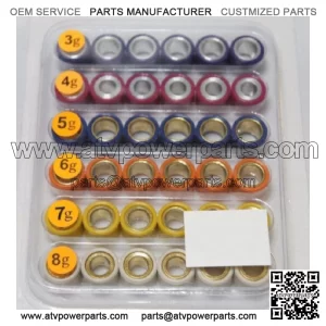 Variator Roller pack 16x13 3g ~ 8g for Kymco Agility 50 PeopleS 50 scooter TX