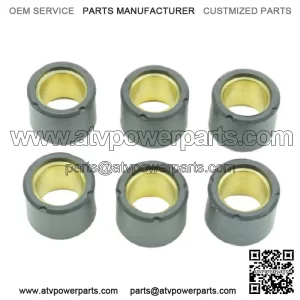 19x15.5mm Clutch Variator Roller Kit 6-Pack (S41000030P034)