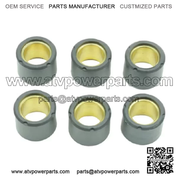 19x15.5mm Clutch Variator Roller Kit 6-Pack (S41000030P034)