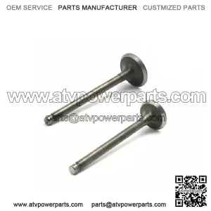 HONDA XR75 XL75 XR80 XR80R XR100R SHIN NIPPON INTAKE & EXHAUST VALVE SET NEW