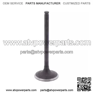 Kawasaki 2008-2017 Klx450r Exhaust Valve OEM New 12005-0044