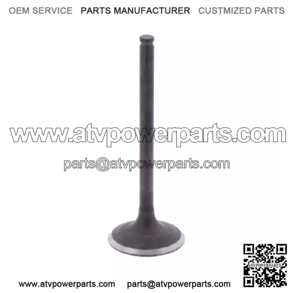Kawasaki 2008-2017 Klx450r Exhaust Valve OEM New 12005-0044
